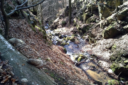 5ro07-2017.02.23-schlucht-an-der-grundgrenze-a-m.schwarz-c5244eed3c8ec6de30c764673163fbb3